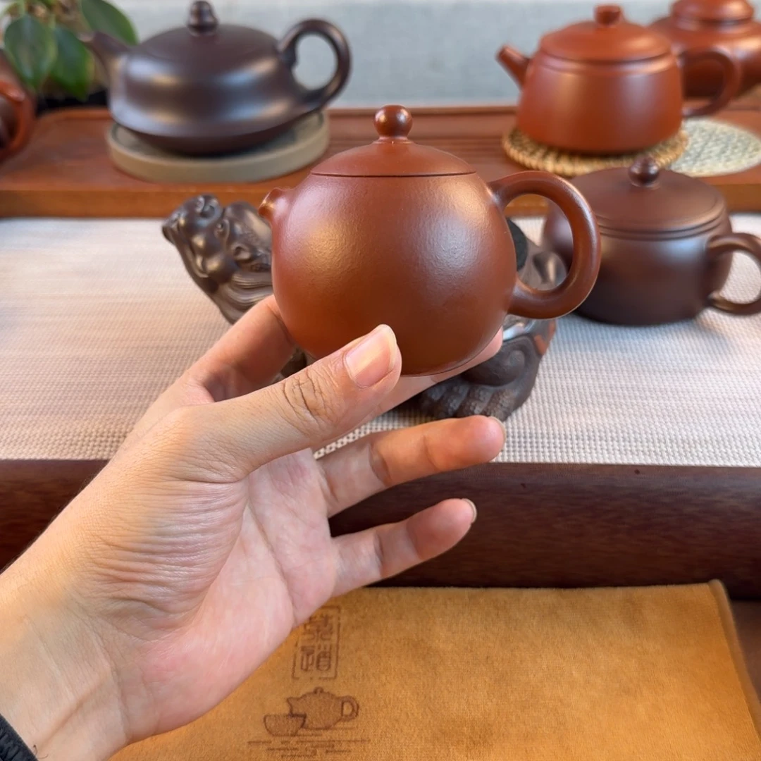 茶壶紫砂紫砂紫砂紫砂紫砂鸿运当头
