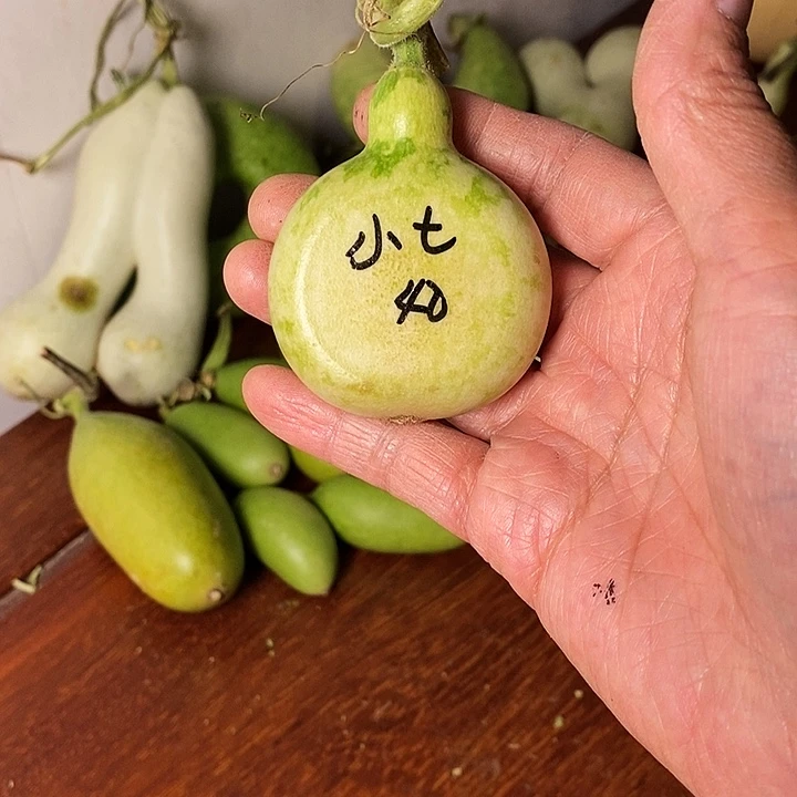 小***光夹扁葫芦手把件
