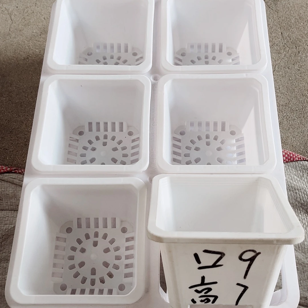 塑料福利款9方白色盆12个带2拖架