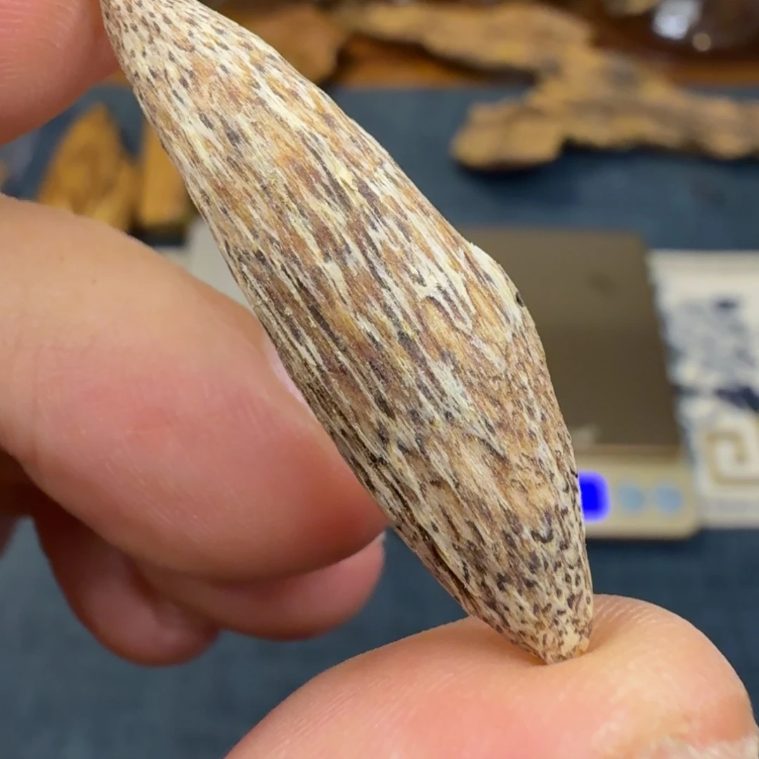 沉香广西博白瓜子