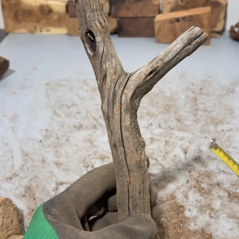 大果紫檀（缅甸花梨）小*