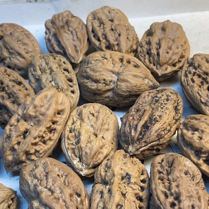 *****吊坠文玩核桃娜姐85