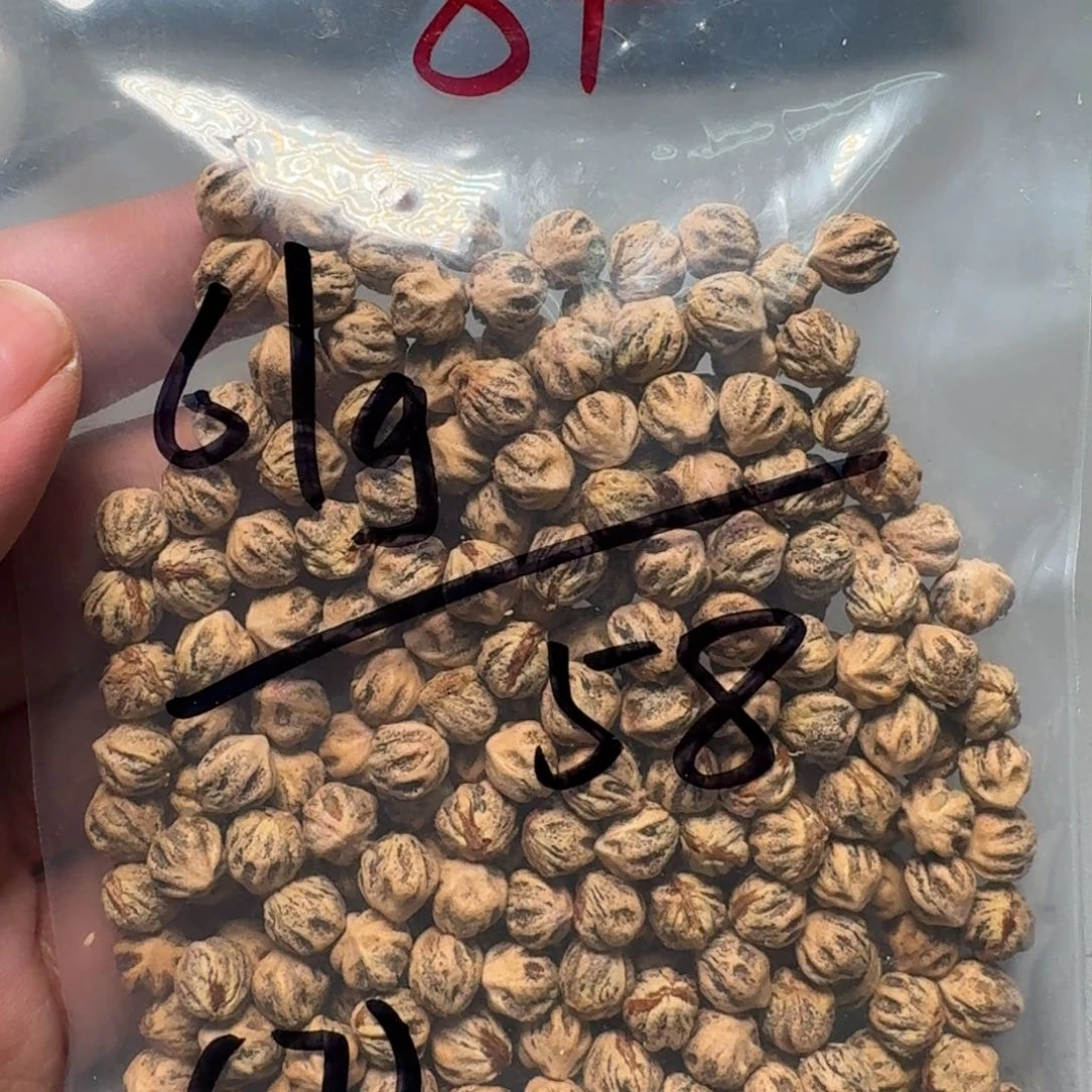 柏香籽/百香籽吊坠l*e
