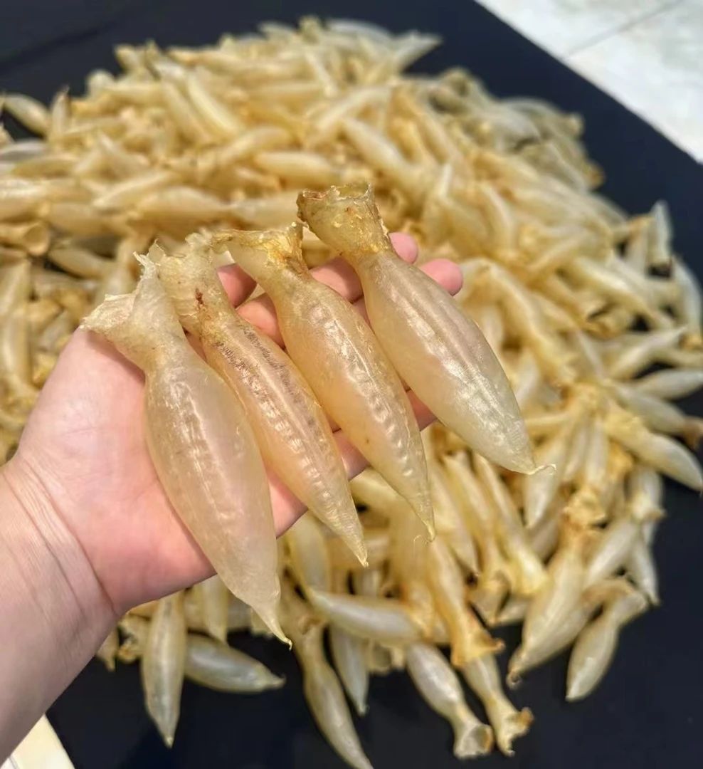 105头，五大名胶—正蜘蛛公胶50g