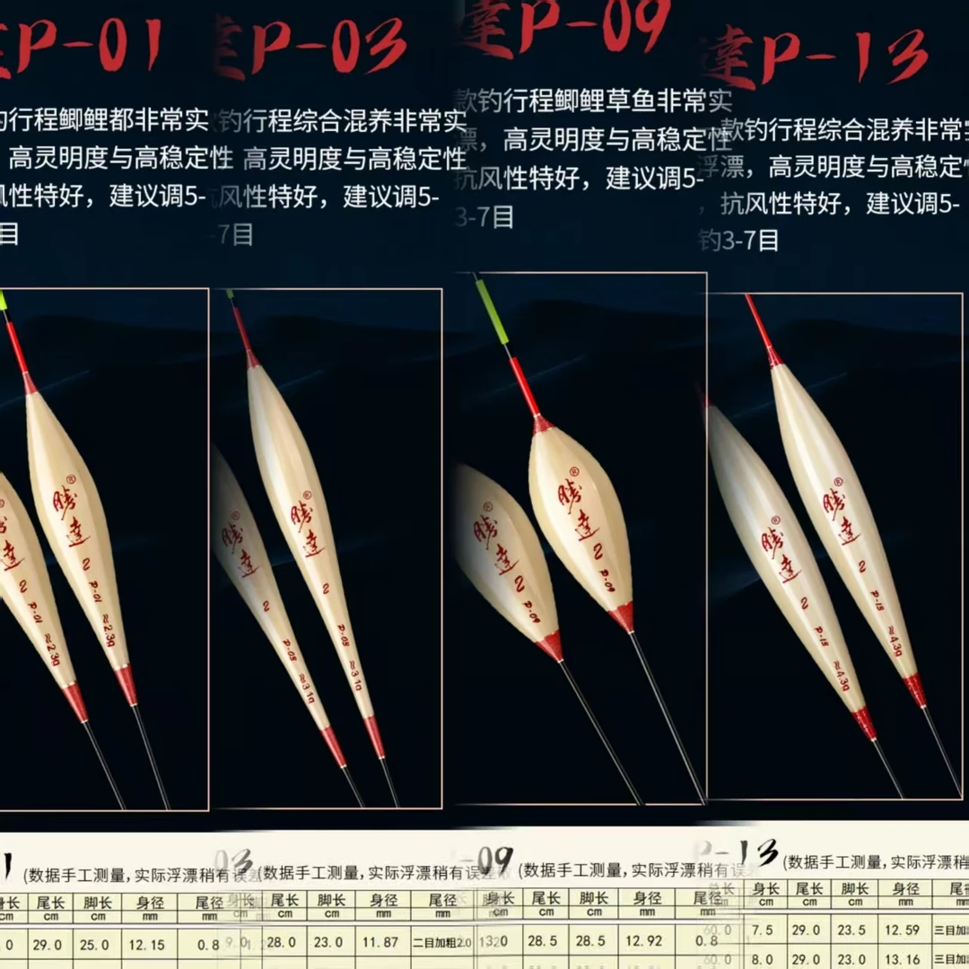 60公分  勝达  带壳芦苇浮漂