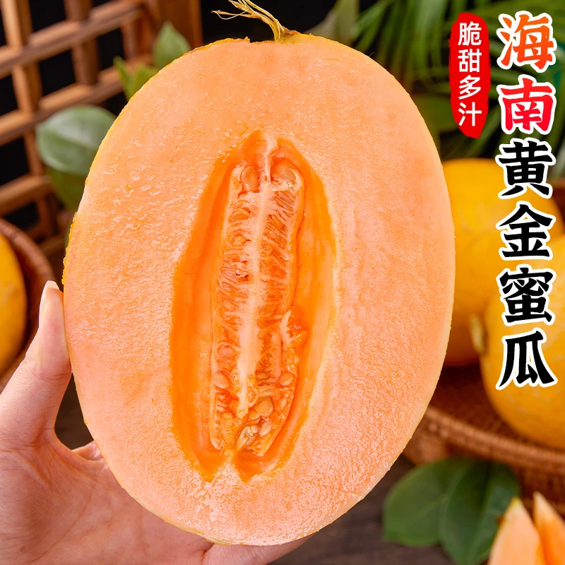 【脆甜多汁】海南黄金蜜瓜3-9斤新鲜应季水果黄肉甜瓜哈密瓜甜香瓜