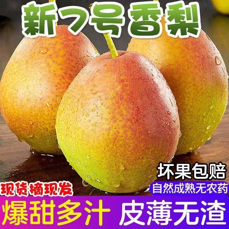 2025山西新鲜香梨3斤装七月红梨也叫半边红梨现摘现发应季脆梨