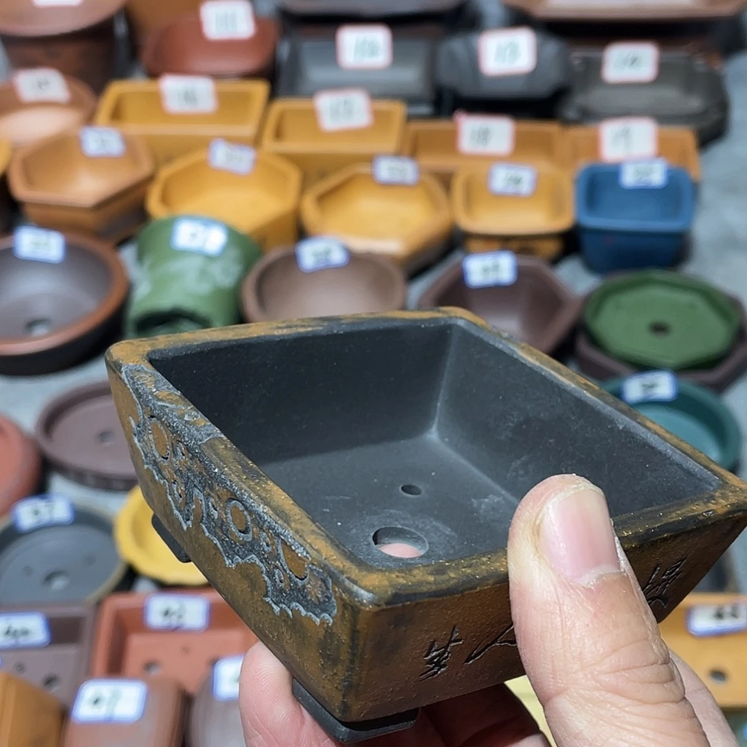 紫砂小盆8*3cmmmm