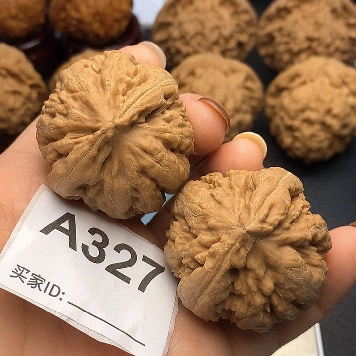 文玩核桃吊坠霸王龙4.1