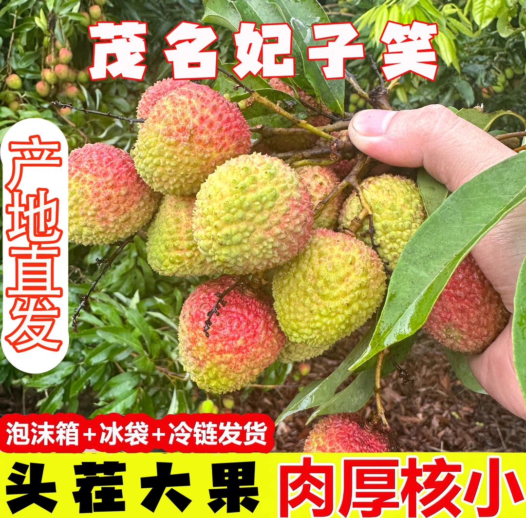 正宗茂名妃子笑荔枝新鲜现摘孕妇当季水果产地爆甜整箱头茬精品果