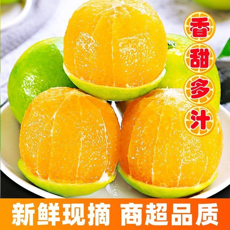 云南青皮冰糖橙头茬果现摘现发高山种植绿色生态酸甜可口