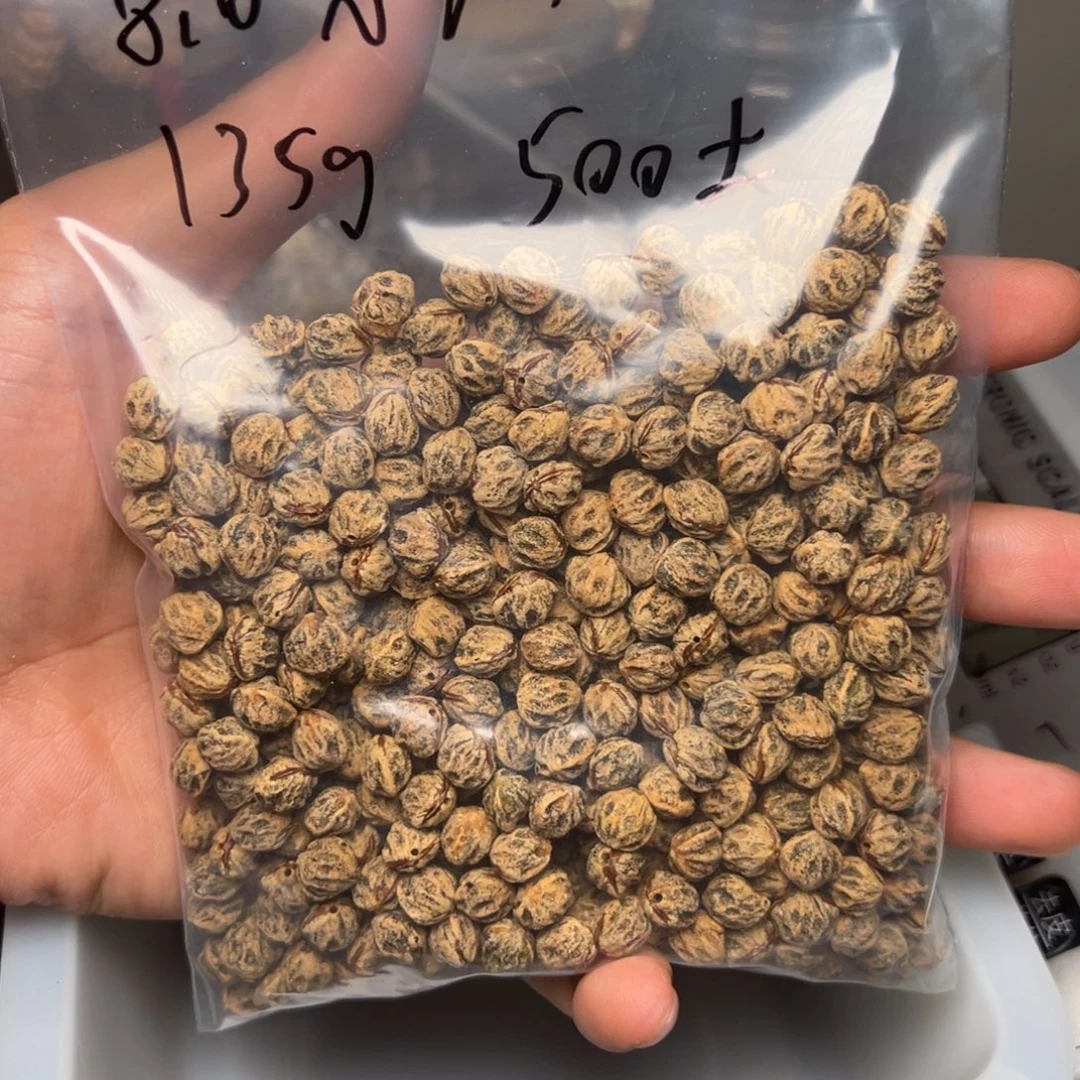 吊坠柏香籽/百香籽