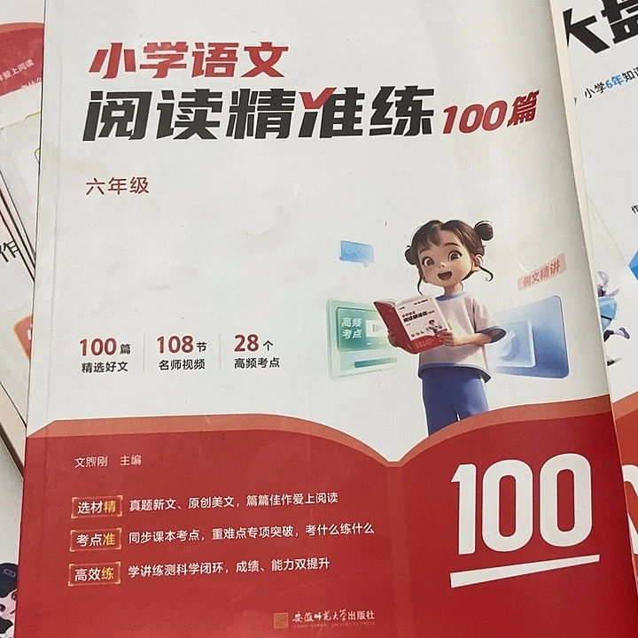 小学语文阅读精准练100篇六年级
