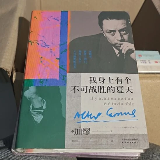 我身上有个不可战胜的夏天 加缪小微瑕