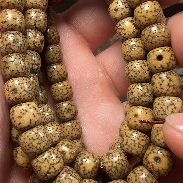 我们都是在这里看到的哈我们都