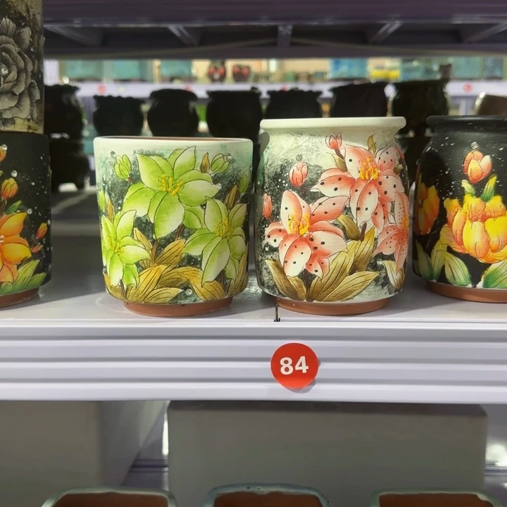 田小姐多肉花盆2个