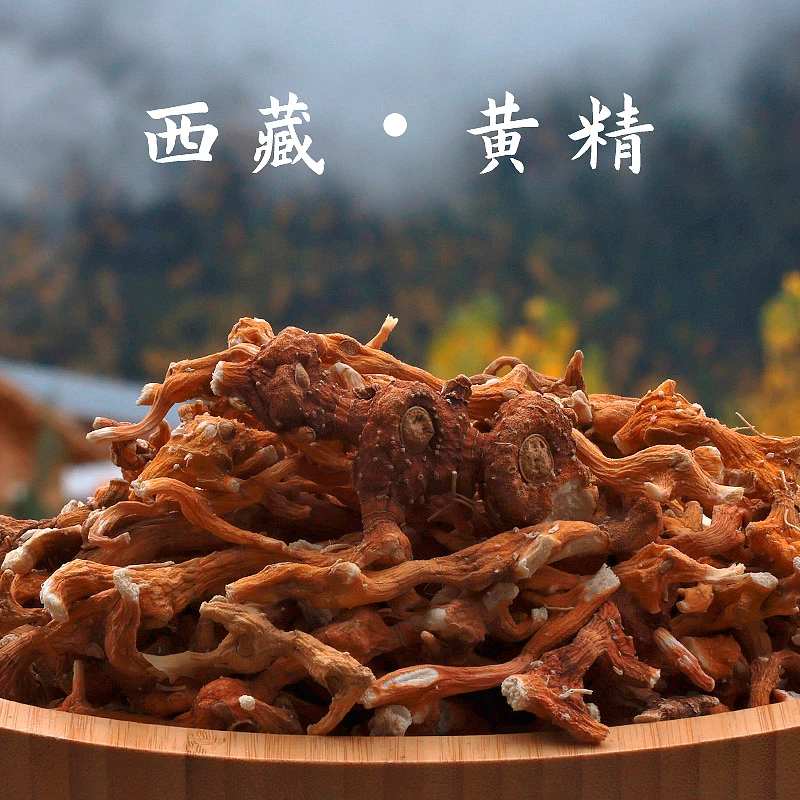 西藏黄精干货高海拔原产地发货