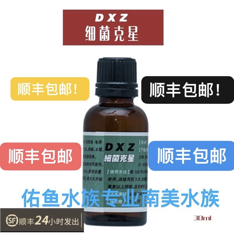 【顺丰包邮】DXZ细菌克星小绿水交叉感染肠炎内寄孵化鱼卵神器腹水