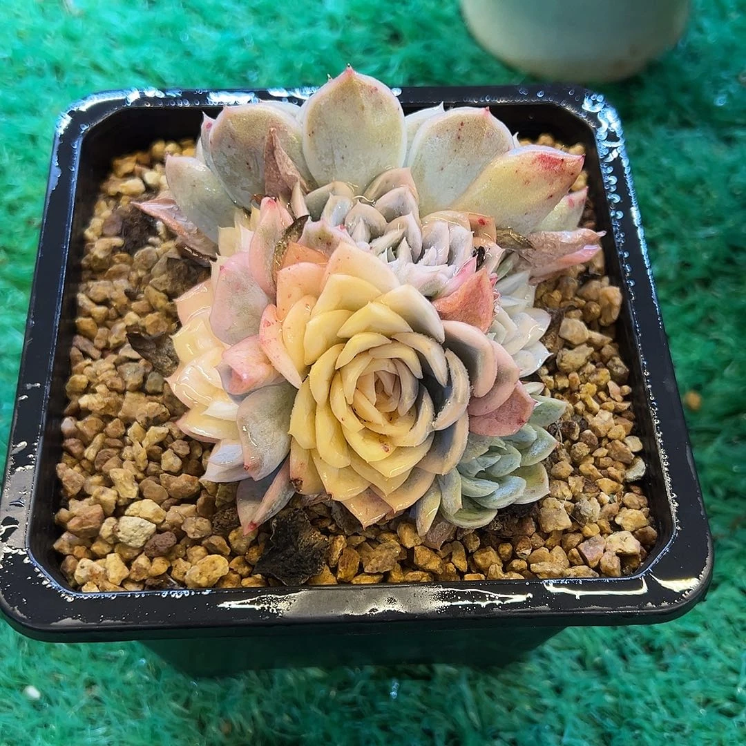 10，，，，，，，，，，，，，，，，，，，，，