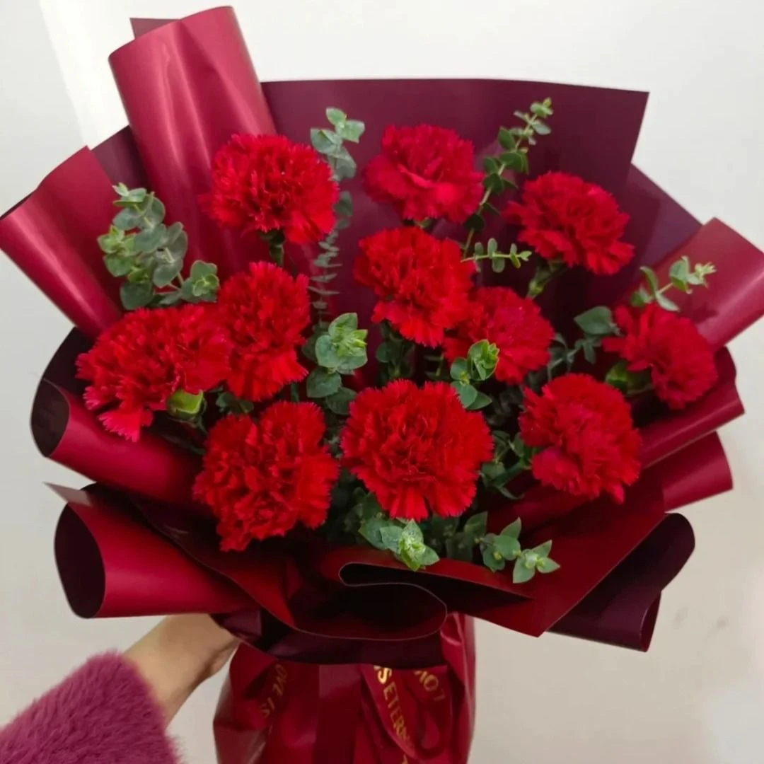 【美丽瞬间】11朵红康乃馨花束生日鲜花生日花束鲜花送长辈送货上门母亲节188
