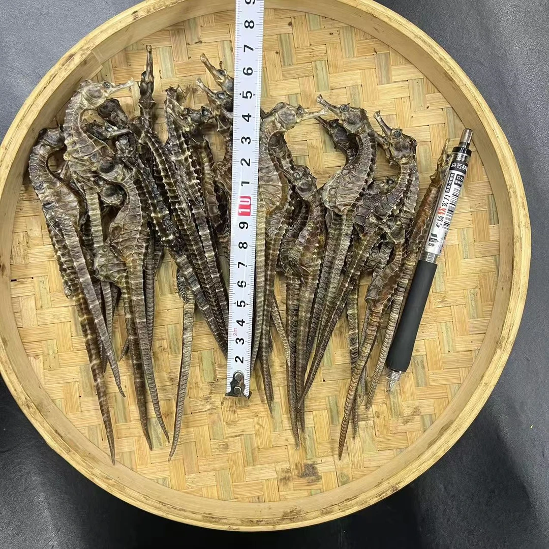 （直播）大号 足干海马 2克/只  共10对