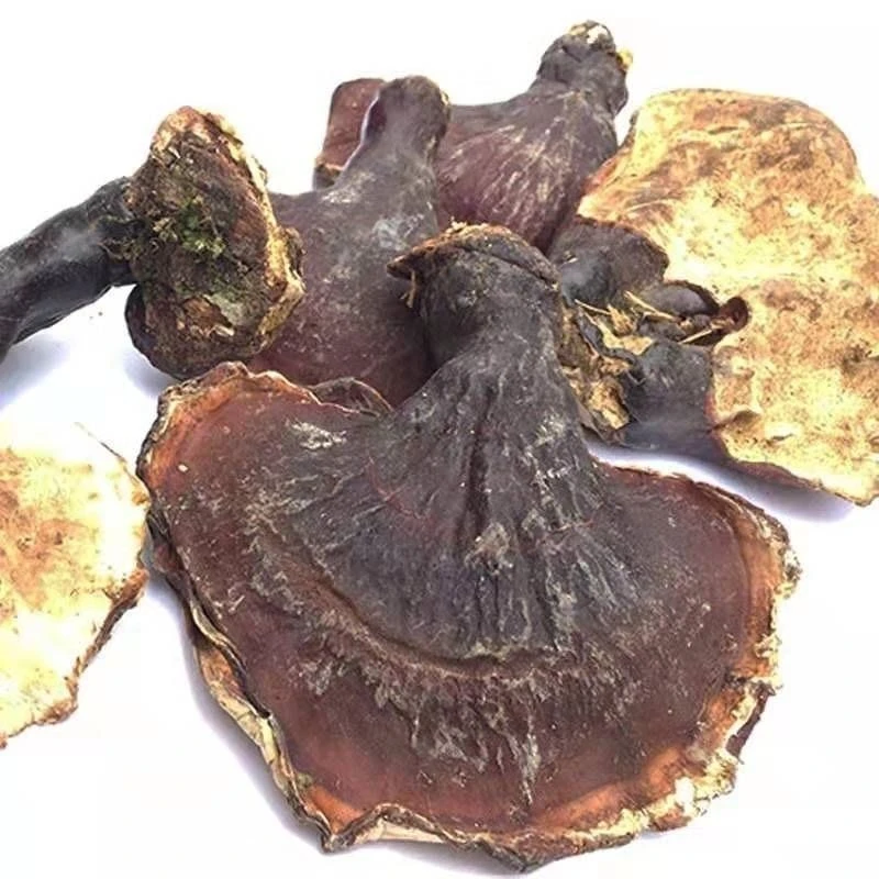 【山货】白心白肉灵枝干货