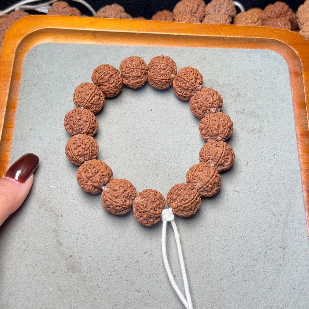 菩提25号金刚菩提六瓣19