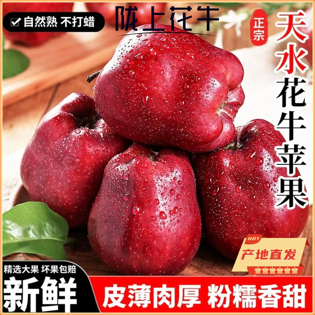 【产地直发】甘肃天水花牛苹果10斤装粉面两吃老人小孩