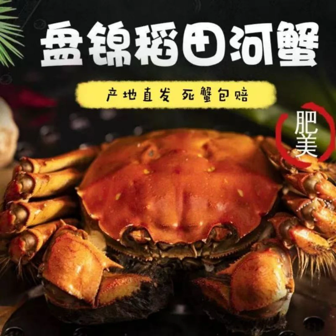 盘锦稻田蟹母蟹 0.9-1.2两2/3斤装