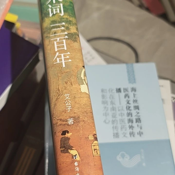 宋词300年艾公子著的一本书塑封塑封塑封。