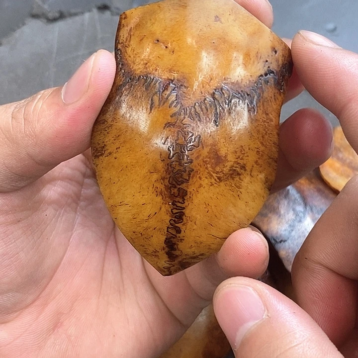 大果紫檀（缅甸花梨）831