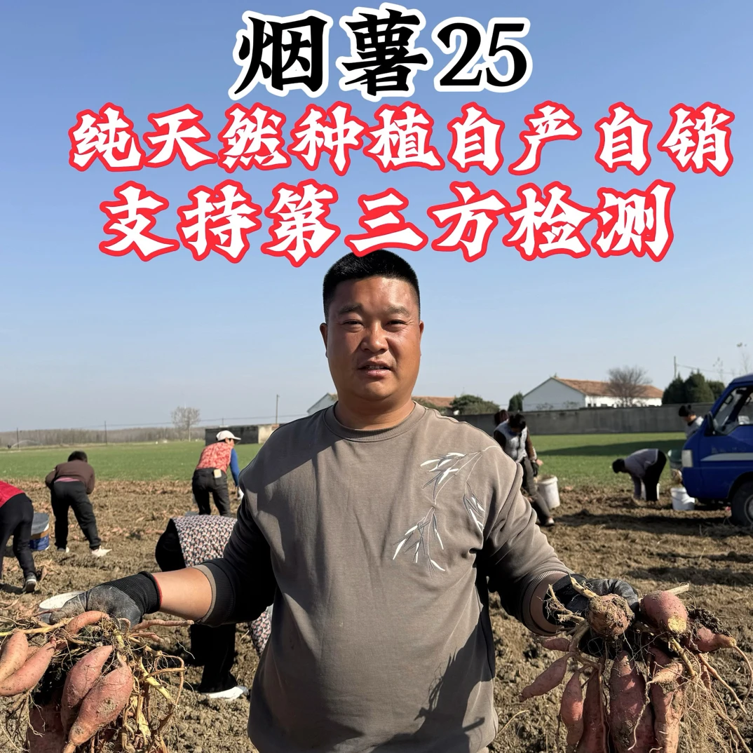 烟薯25皖北黑土地现挖现发纯生态种植，支持检测