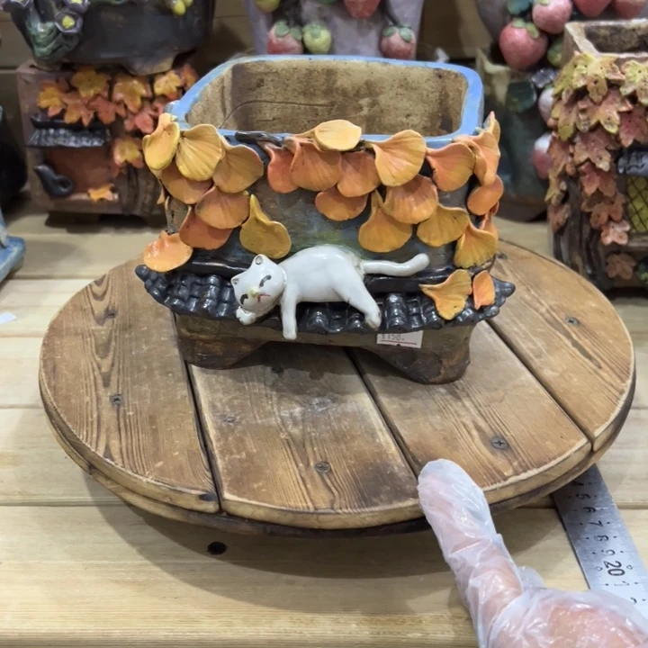 陶然多肉花盆百搭