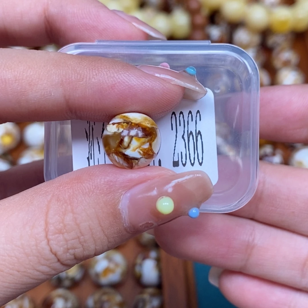 沁色蜜蜡未镶嵌2366