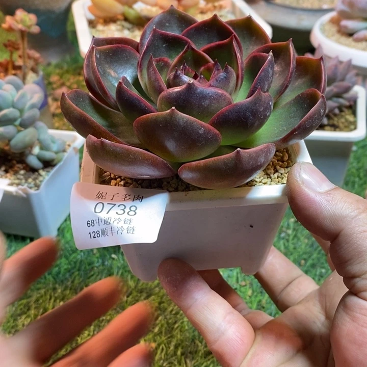 0738啊啊啊啊啊啊啊啊啊啊啊