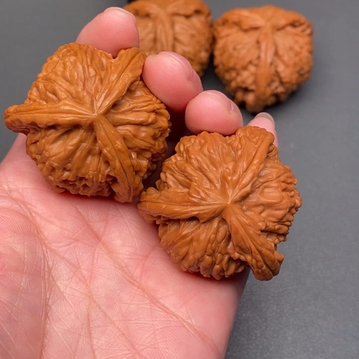 封***底木质类核桃核桃核桃