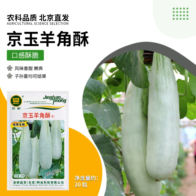 京研【农科院】甜瓜种子羊角蜜酥绿宝瓜蔬菜种子家庭阳台小菜园种子