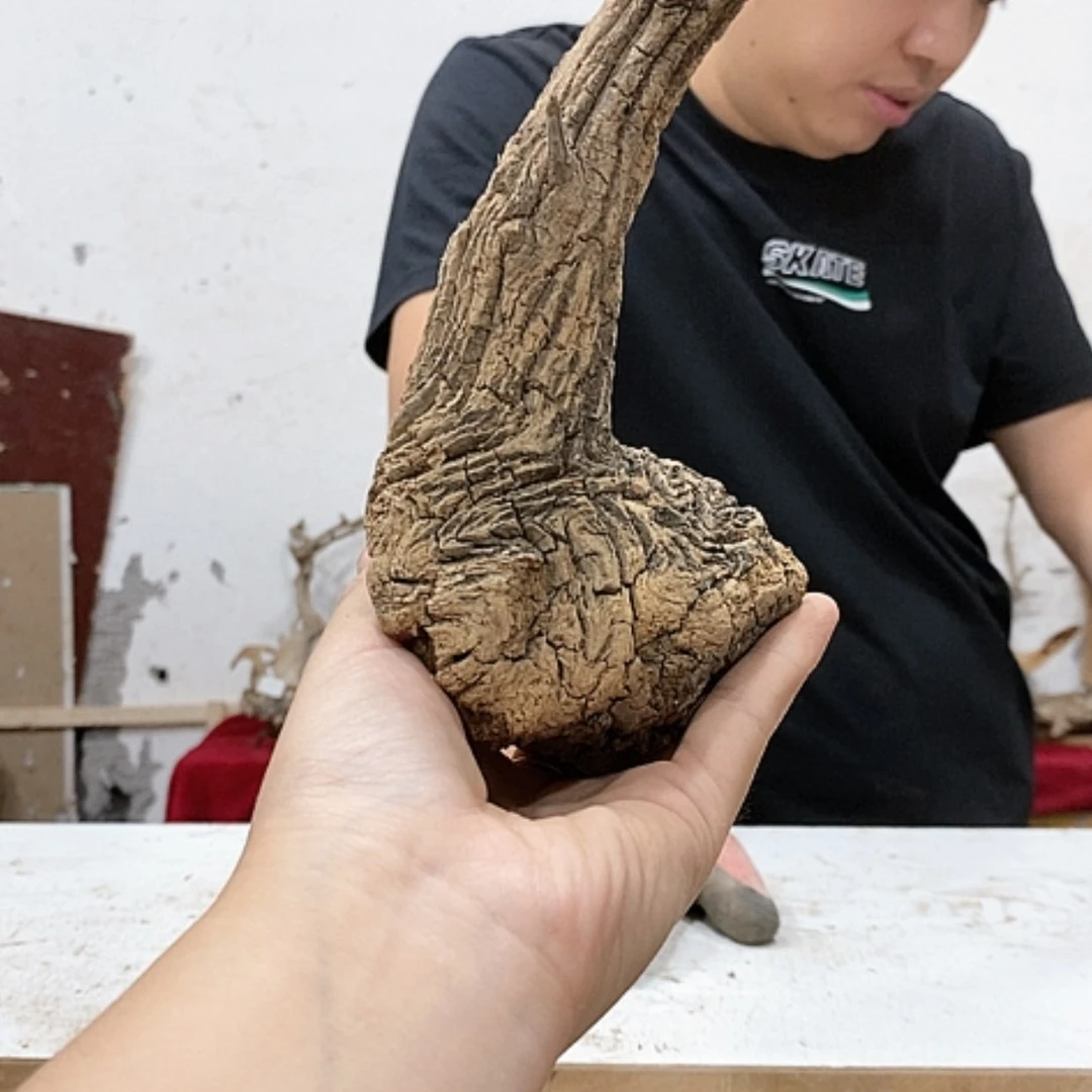 【闪购商品】柏木老*我们都是好孩子