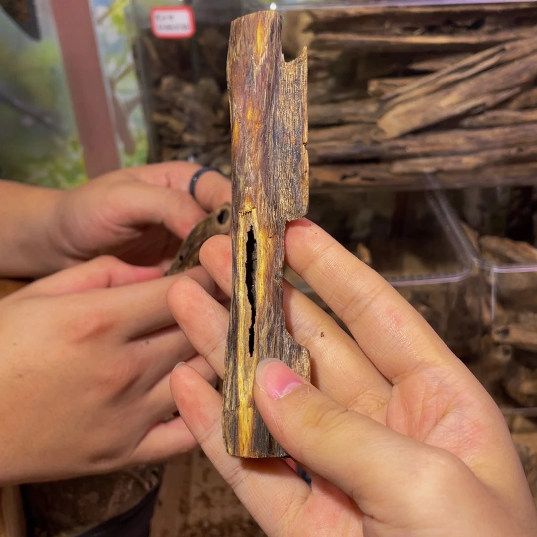 沉香碎屑沉香乐*海南虫漏福利07