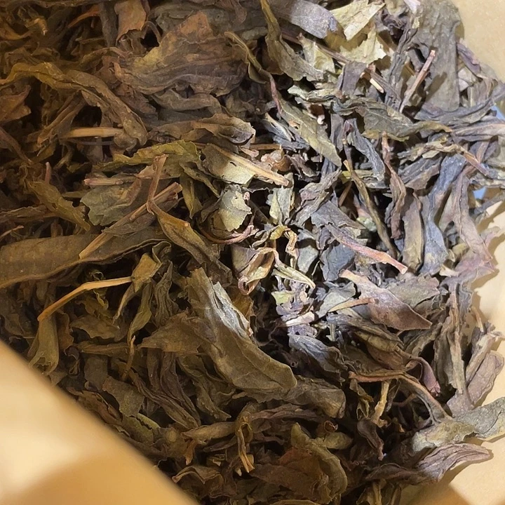 昔归古树黄片头春头采250克