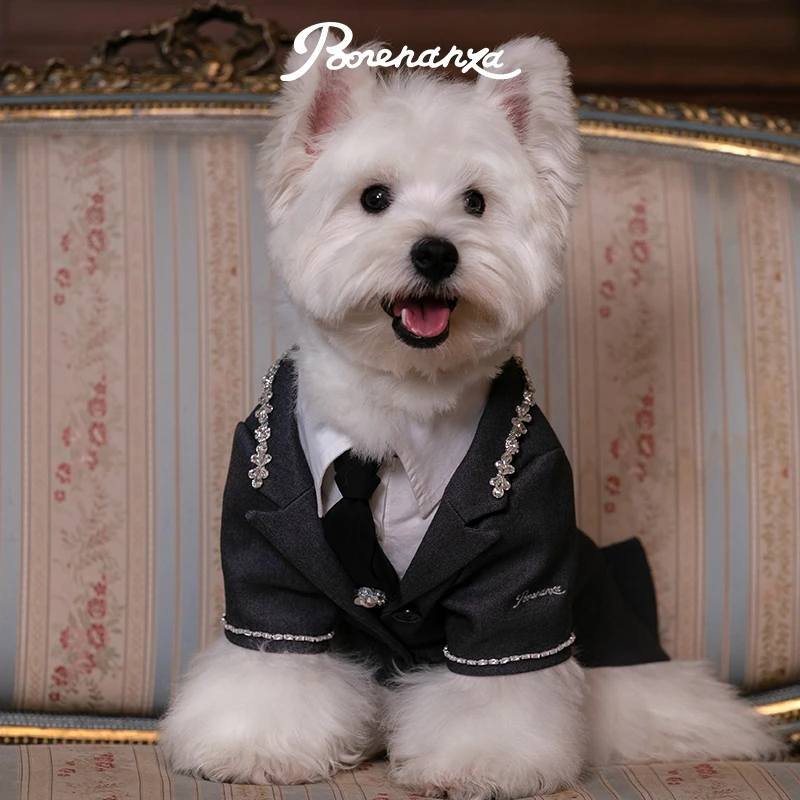 Bonenanza骨乐亨｜Banquet钉钻纨绔西装套装