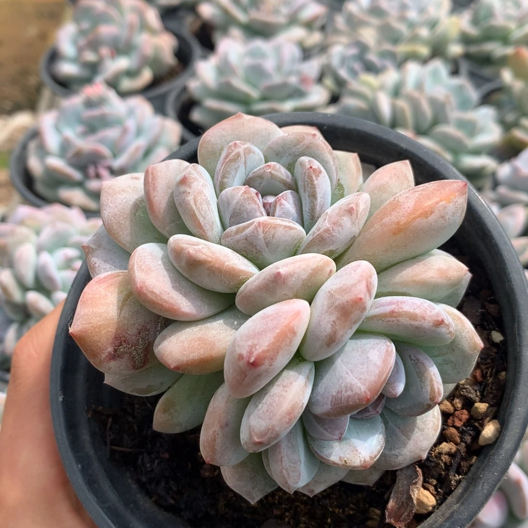 哈哈哈哈哈哈哈哈哈哈