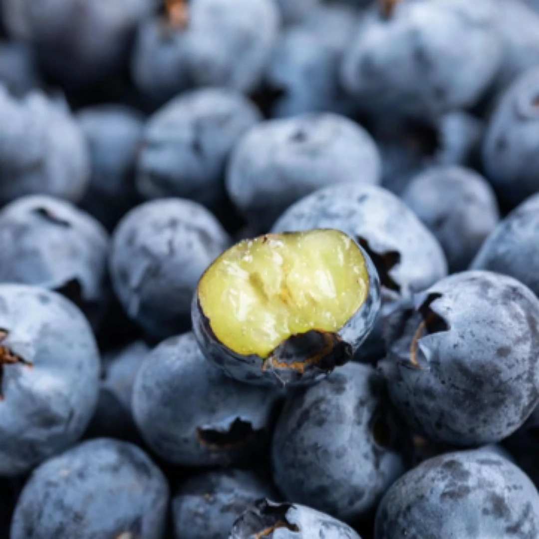【老沙严选】新鲜到货云南云水露香甜蓝莓15mm 单盒125克 4盒起