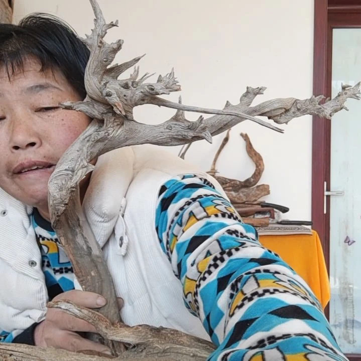 风车木（黑檀木）李***?