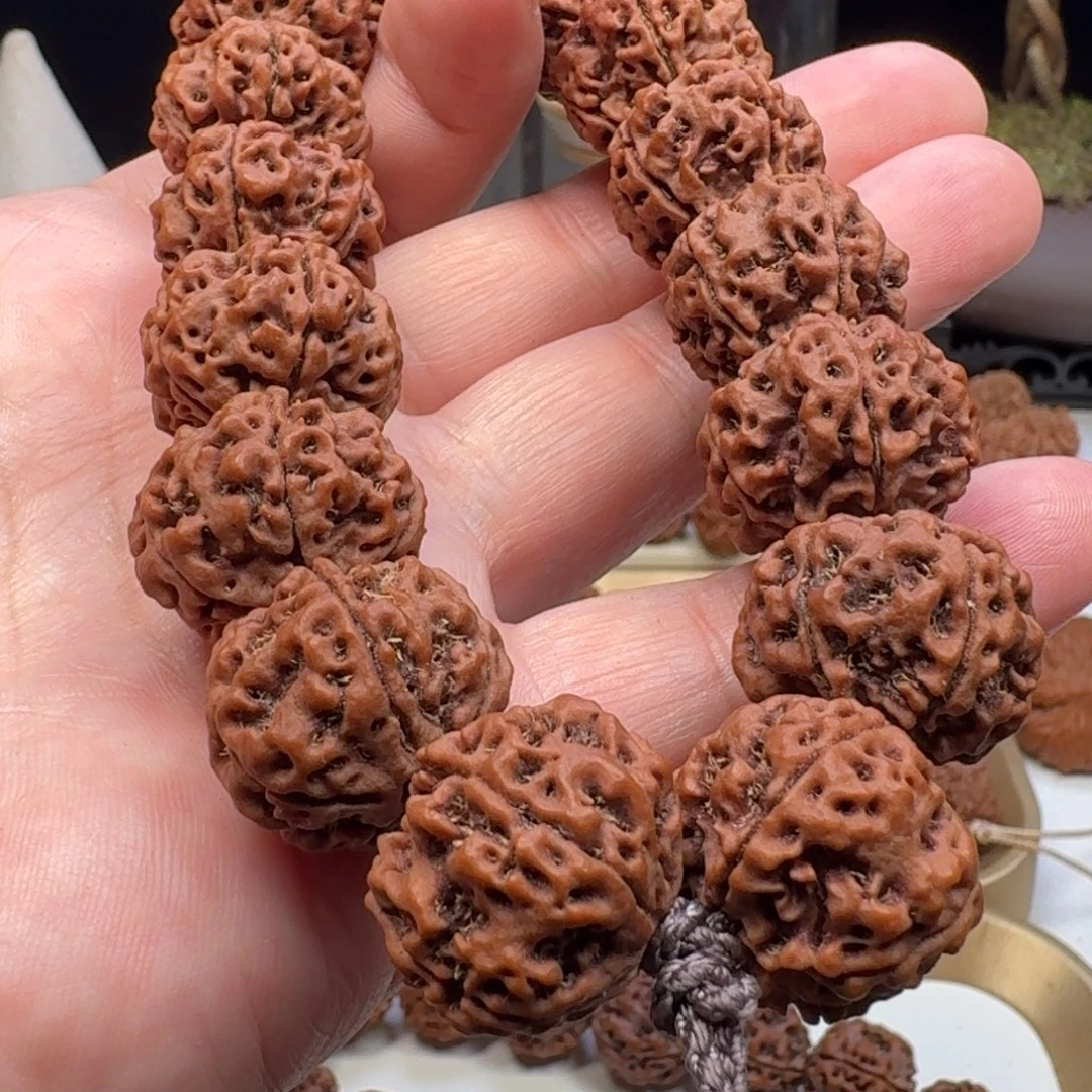 金刚菩提手串蜂窝双龙