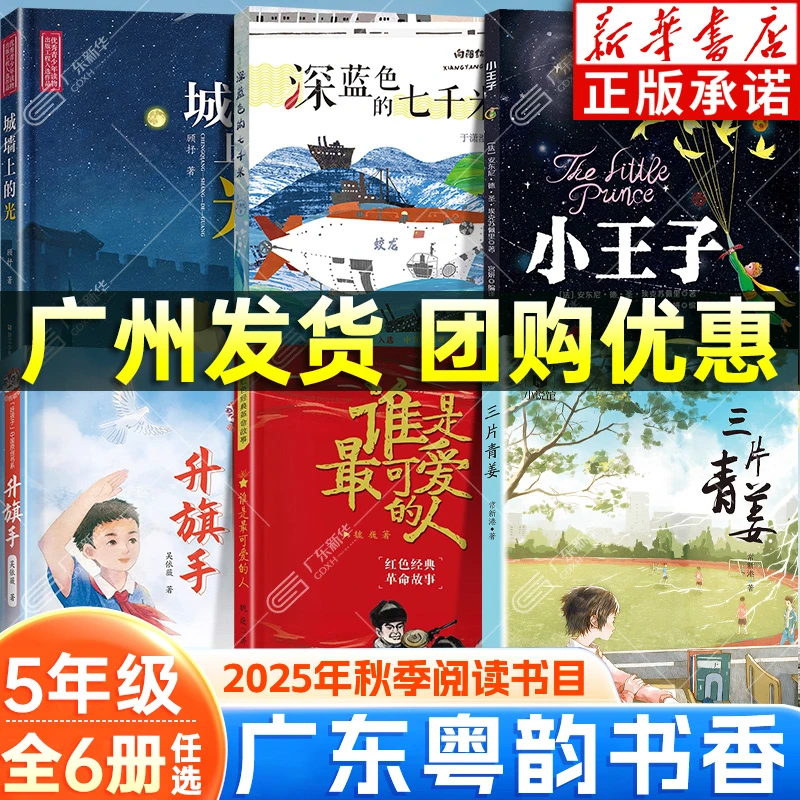2025秋广东粤韵书香五年级 小王子三片青姜谁是最可爱的人