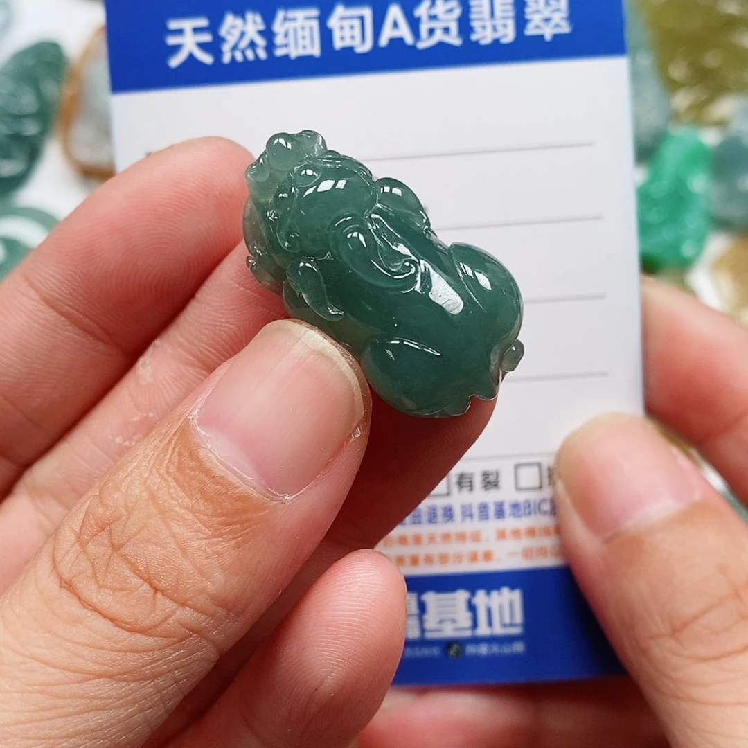 A****翡翠未镶嵌颈饰貔貅