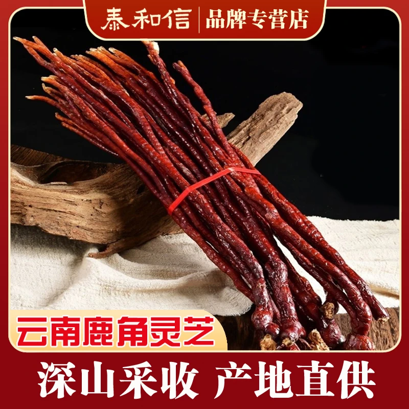 【鹿角灵芝】云南特产鹿角灵芝干货整支发货 煲汤泡水泡酒 深山采挖