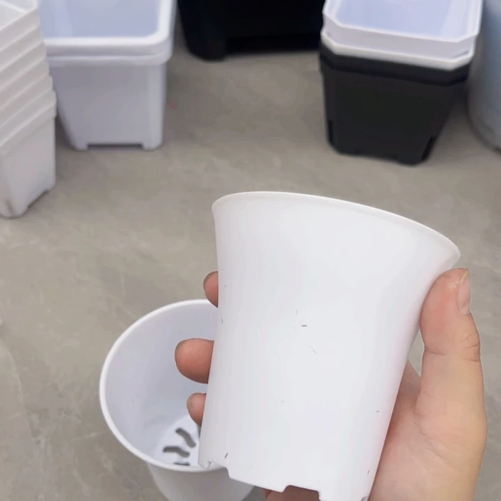 白万象口9高9一组20个