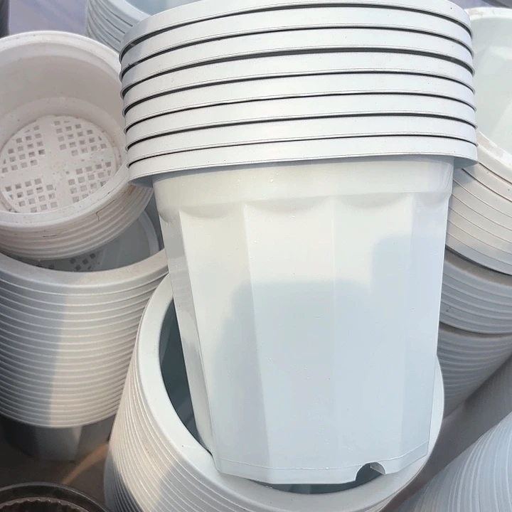 3加仑白圆盆6个白色